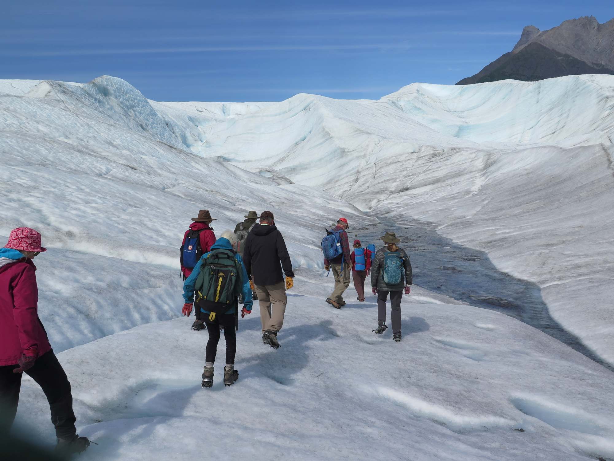 Wandergruppe auf dem Root-Gletscher