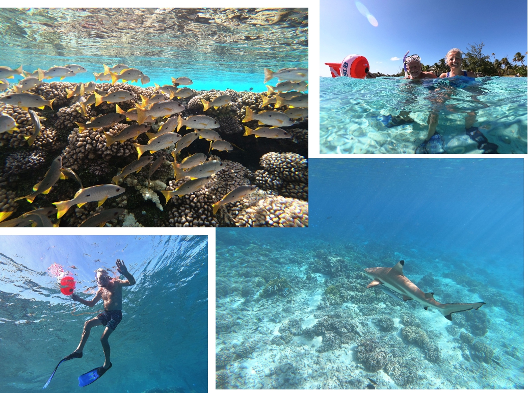 Bildercollage2 Schnorcheln in der Lagune